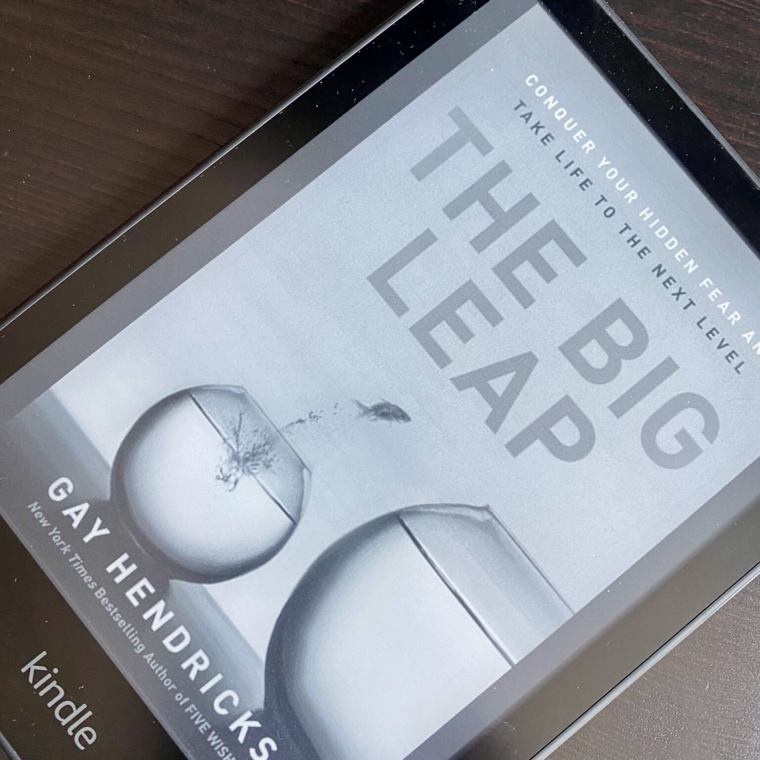 Review: The Big Leap: Conquer Your Hidden Fear and Take Life to the ...