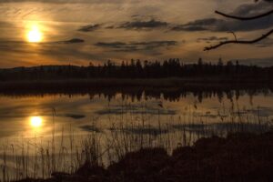 A picture of a moorland at sunset